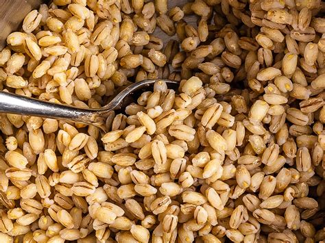  ¡Barley: Un Grano de Poder para la Industria Alimentaria y Cervecera!